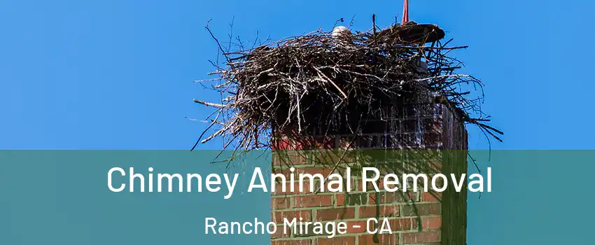 Chimney Animal Removal Rancho Mirage - CA